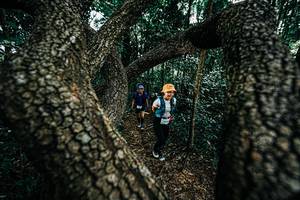 BIB: 
                            <button type="button" onclick="openModal(25392531)" class="btn btn-primary btn-sm float-right btn-popup" data-toggle="modal" data-target=".modal-high-quality">
                        <i class="fas fa-shopping-cart"></i> Add to Cart
                    </button>
                                            <button type="button" onclick="isThisMe(25392531, true)" class="btn btn-success btn-sm float-right btn-popup btn-isme hidden" data-toggle="tooltip" data-placement="bottom" title="นี่คือรูปของคุณใช่ไหม คลิกที่นี่เพื่อเอาเข้าอัลบั้ม">
                        <i class="fas fa-plus"></i> Add to album
                    </button>
                    <button type="button" onclick="isThisMe(25392531, false)" class="btn btn-warning btn-sm float-right btn-popup btn-isnotme hidden">
                        <i class="fas fa-ban"></i> Remove from album
                    </button>